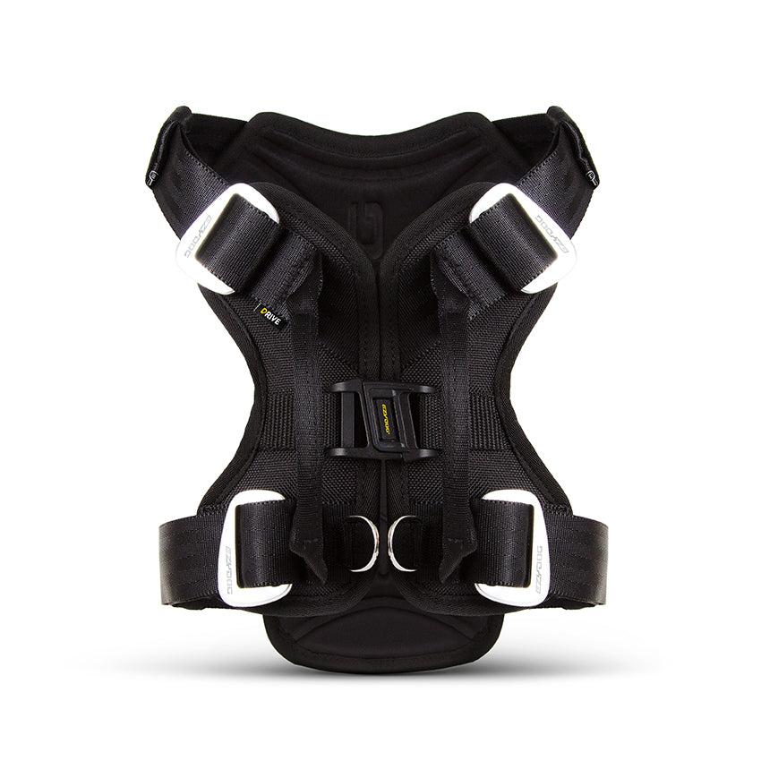 EzyDog Drive Car Harness
