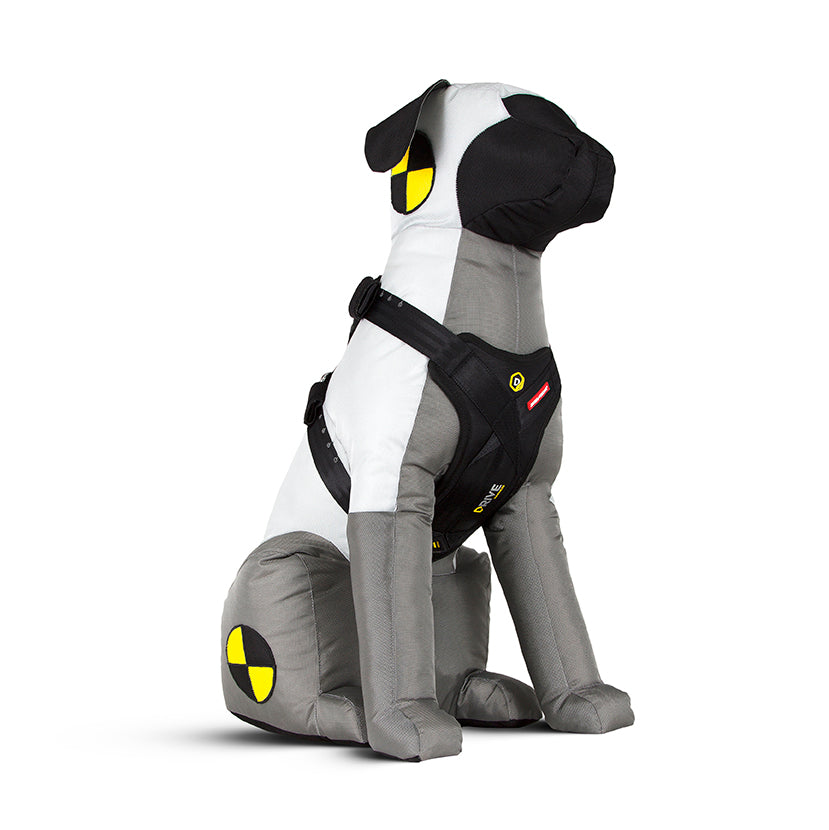 EzyDog Drive Car Harness
