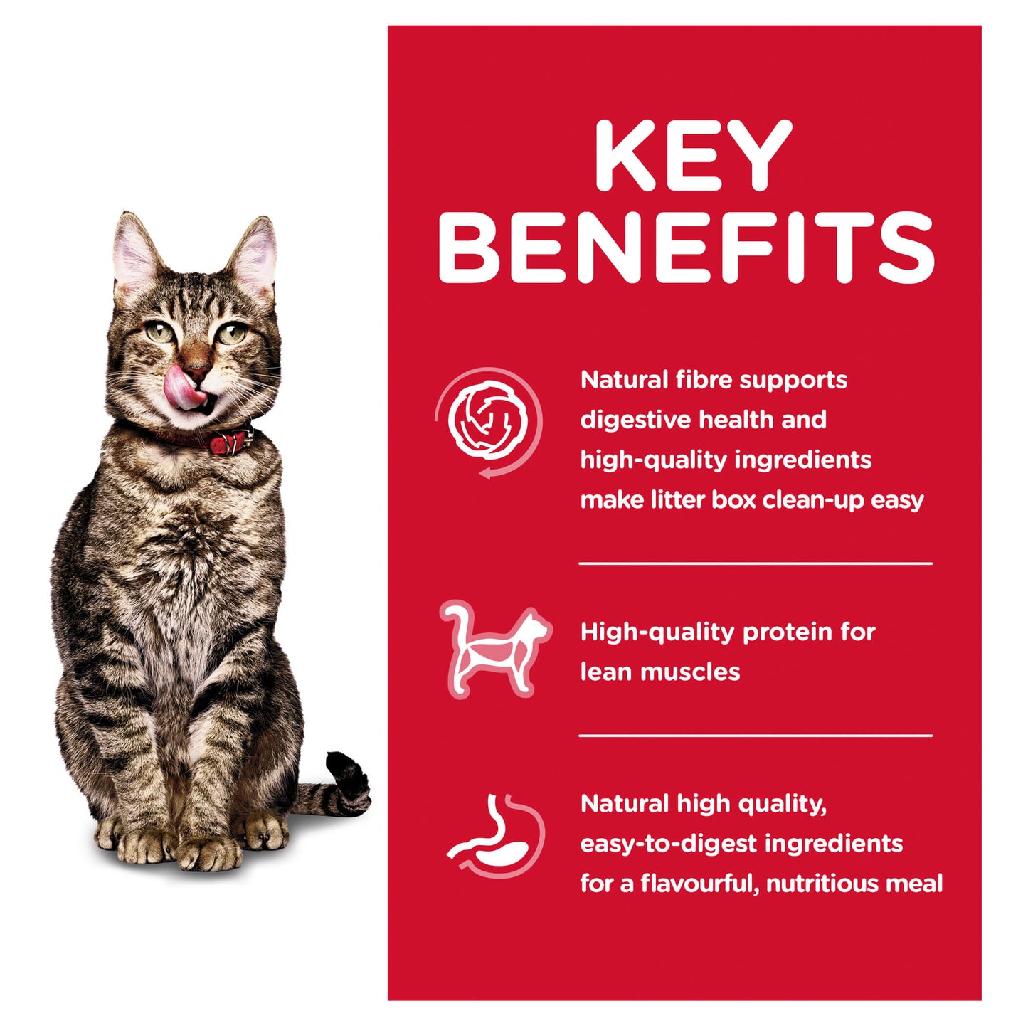 Hill's Science Diet Indoor 7+ Adult Dry Cat Food