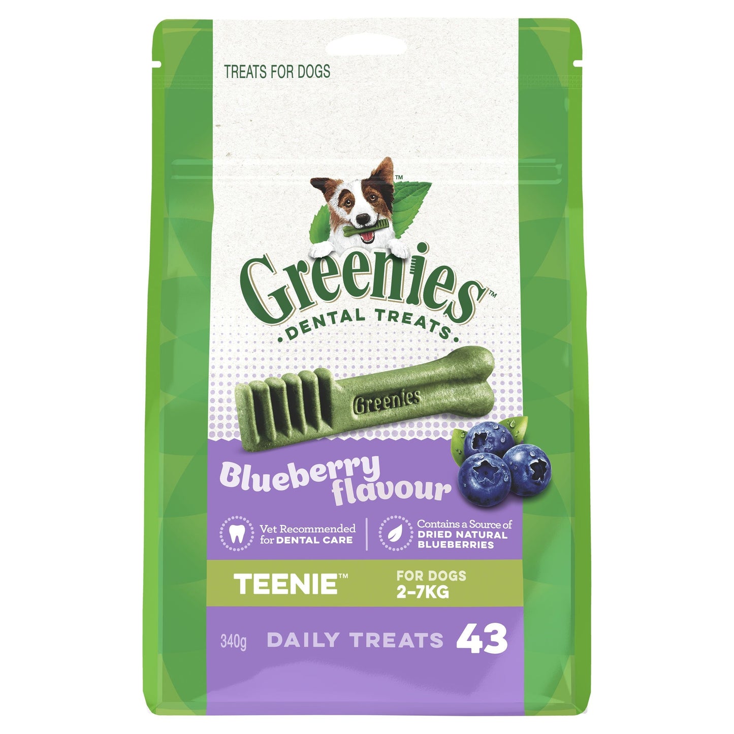 Greenies Blueberry Teenie Dental Chews Dog Treats