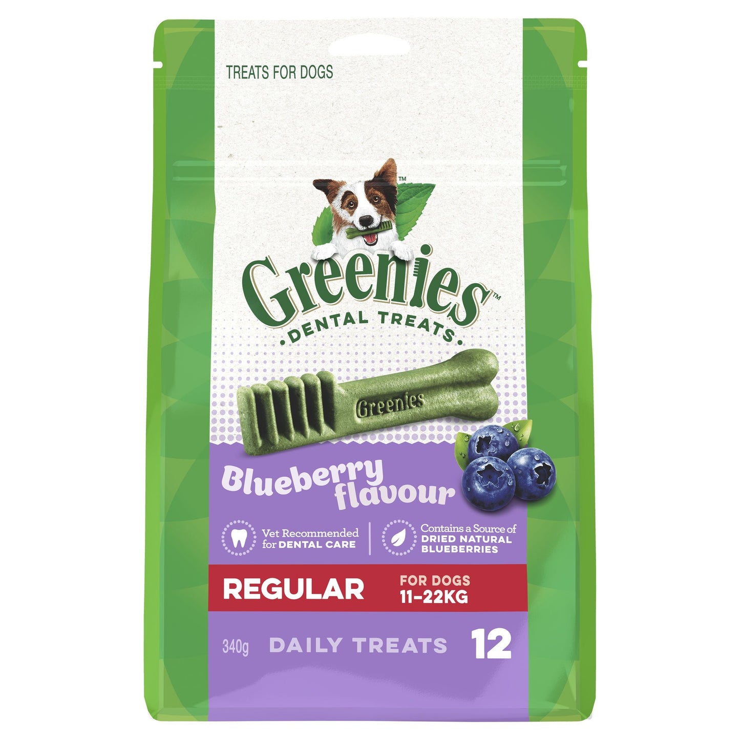 Greenies Blueberry Regular Dental Chews Dog Treats