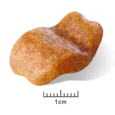 Royal Canin Bulldog Adult Dry Dog Food