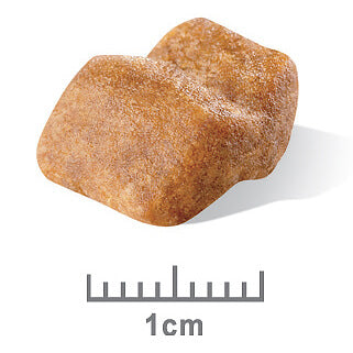 Royal Canin Bulldog Puppy Dry Dog Food