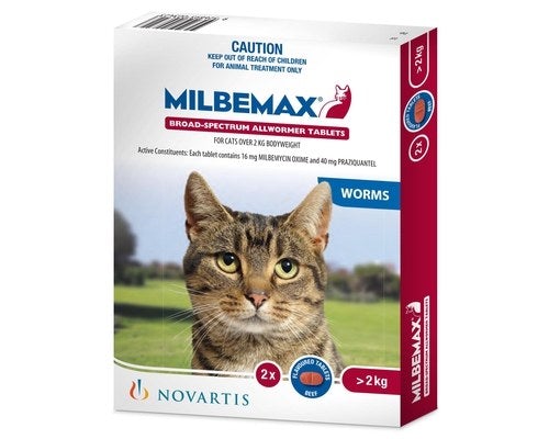 Milbemax Allwormer >2kg Cat