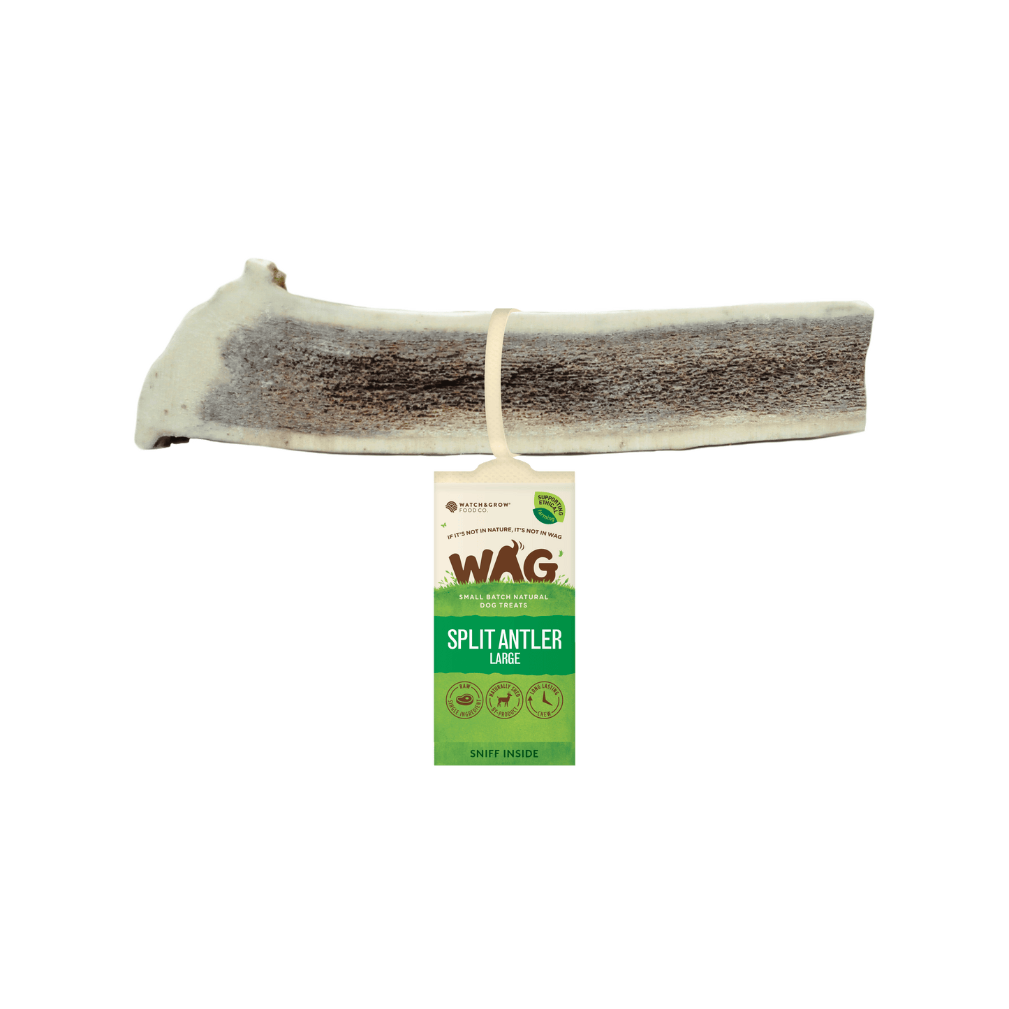 Watch and Grow  Naturally Shed  Split Deer Antler  Long Lasting Dog Treat