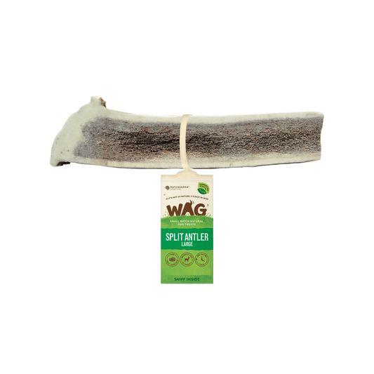 Watch and Grow  Naturally Shed  Split Deer Antler  Long Lasting Dog Treat