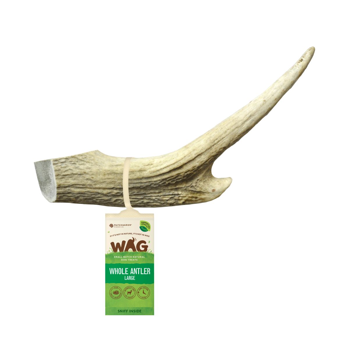 Watch and Grow  Whole Deer Antler  Naturally Shed  Long Lasting Dog Treat