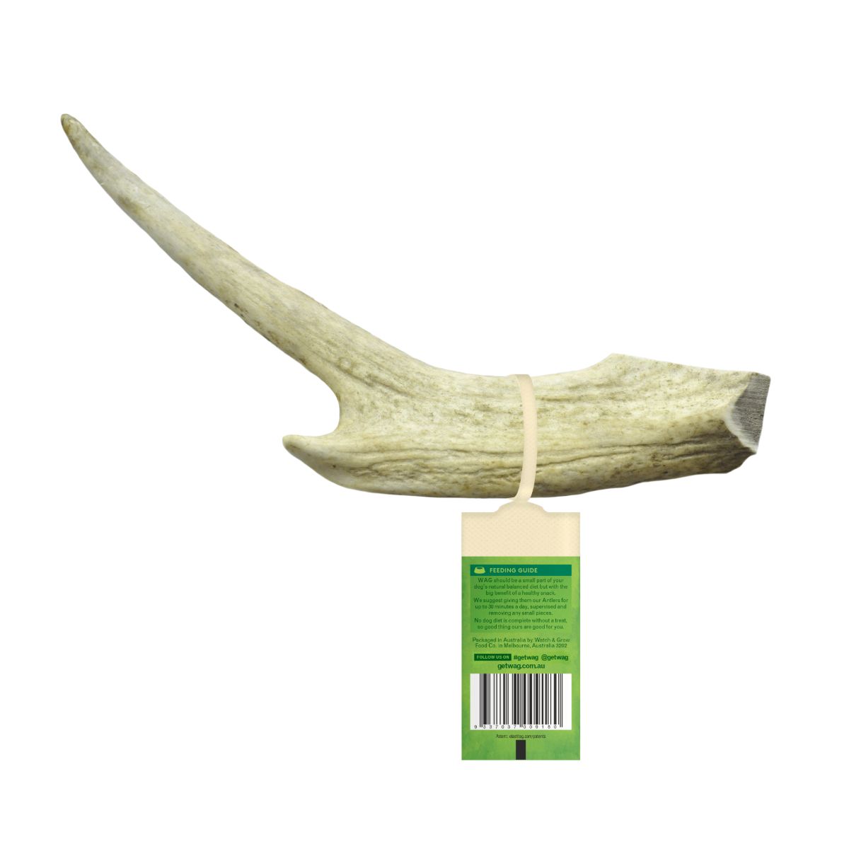 Watch and Grow  Whole Deer Antler  Naturally Shed  Long Lasting Dog Treat