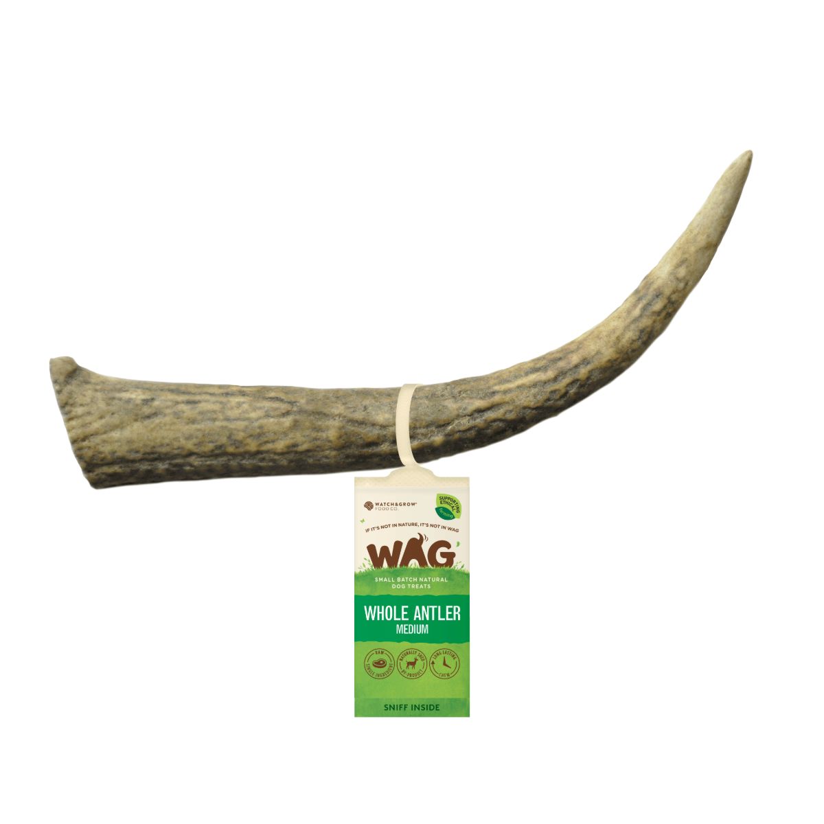 Watch and Grow  Whole Deer Antler  Naturally Shed  Long Lasting Dog Treat