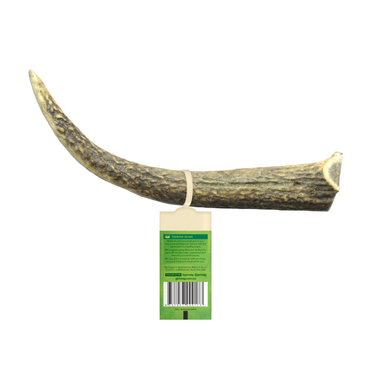 Watch and Grow  Whole Deer Antler  Naturally Shed  Long Lasting Dog Treat