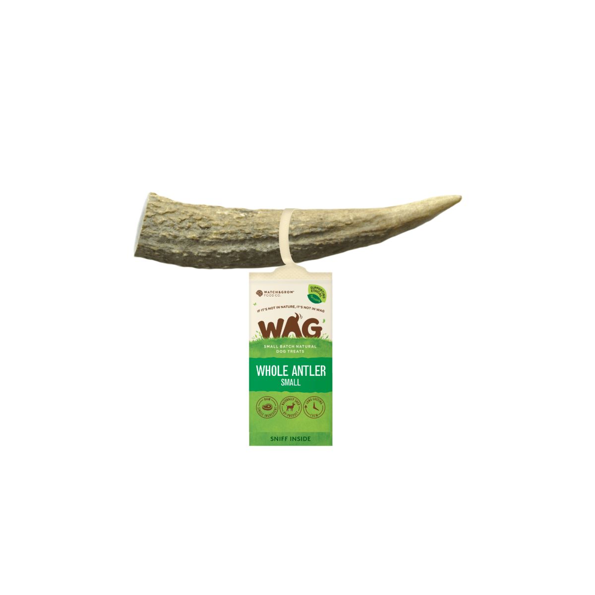 Watch and Grow  Whole Deer Antler  Naturally Shed  Long Lasting Dog Treat
