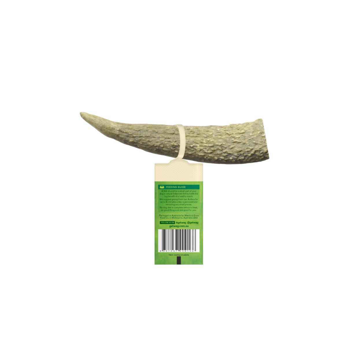 Watch and Grow  Whole Deer Antler  Naturally Shed  Long Lasting Dog Treat